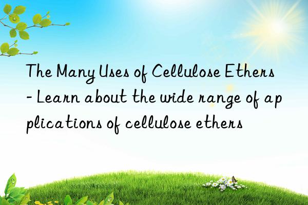 the many uses of cellulose ethers - learn about the wide range of applications of cellulose ethers