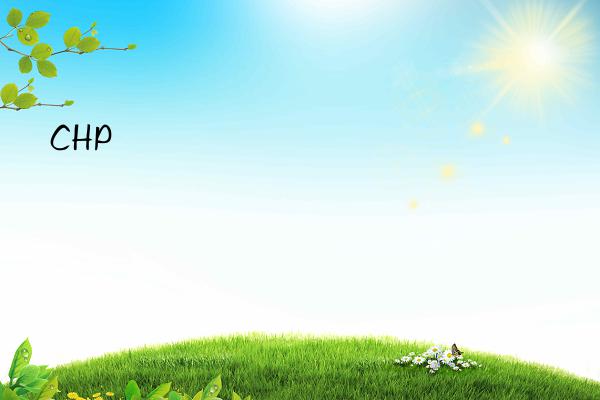chp