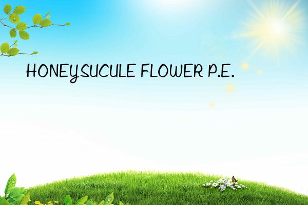 honeysucule flower p.e.