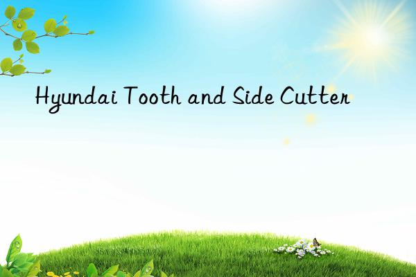hyundai tooth and side cutter