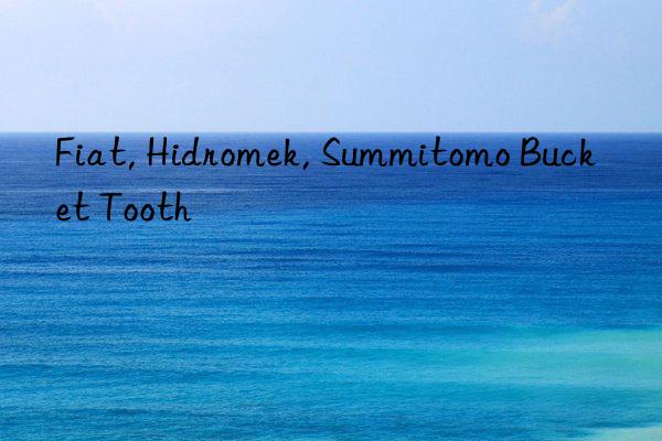 fiat, hidromek, summitomo bucket tooth