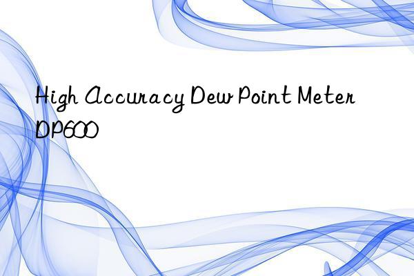 high accuracy dew point meter dp600