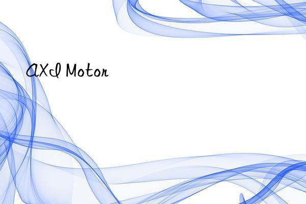 axi motor