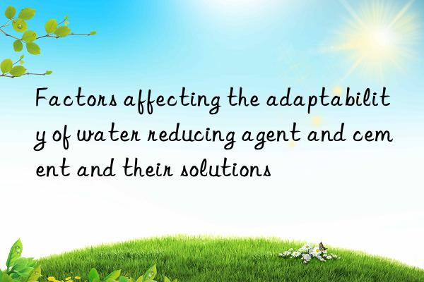 factors affecting the adaptability of water reducing agent and cement and their solutions