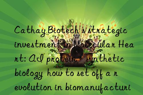 cathay biotech s strategic investment in molecular heart: ai protein + synthetic biology  how to set off a revolution in biomanufacturing?
