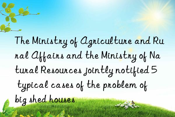 the ministry of agriculture and rural affairs and the ministry of natural resources jointly notified 5 typical cases of the problem of  big shed houses