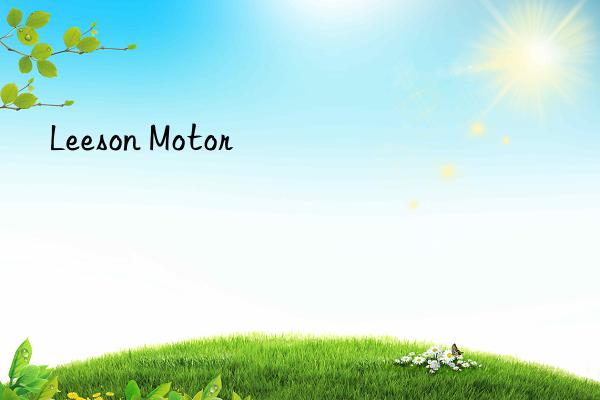 leeson motor