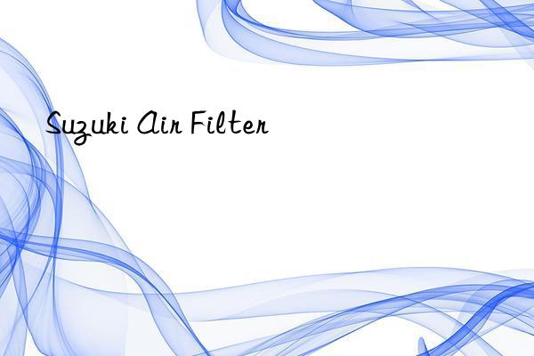 suzuki air filter