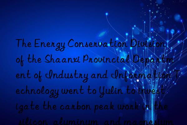 the energy conservation division of the shaanxi provincial department of industry and information technology went to yulin to investigate the carbon peak work in the silicon  aluminum  and magnesium industries