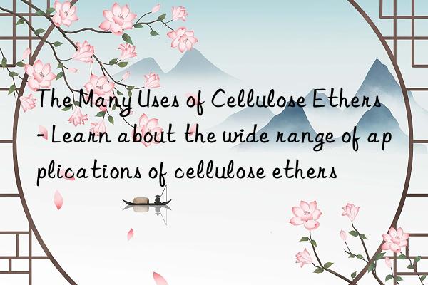 the many uses of cellulose ethers - learn about the wide range of applications of cellulose ethers