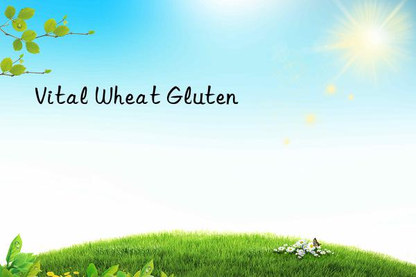 vital wheat gluten