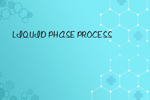 liquid phase process