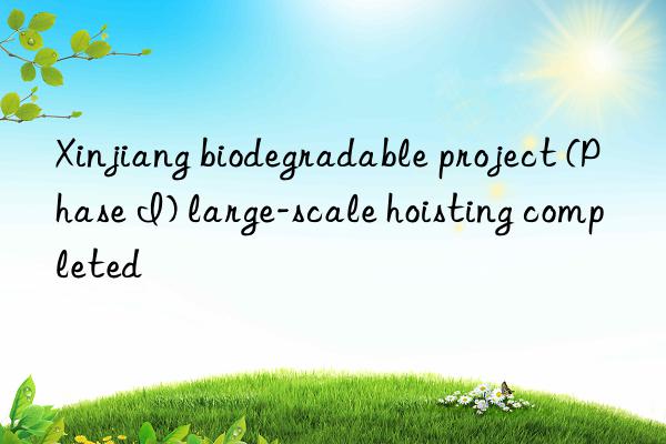 xinjiang biodegradable project (phase i) large-scale hoisting completed