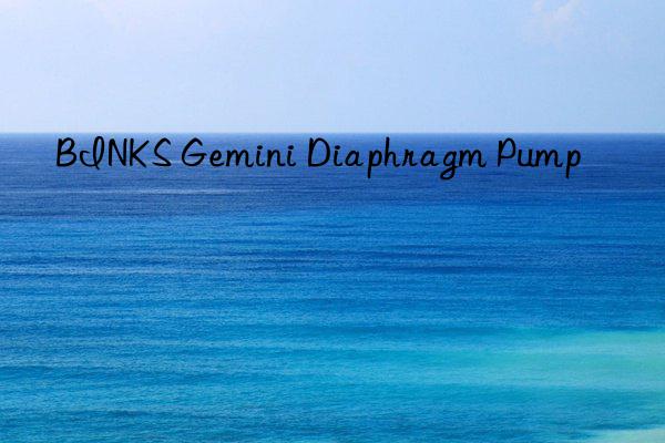 binks gemini diaphragm pump