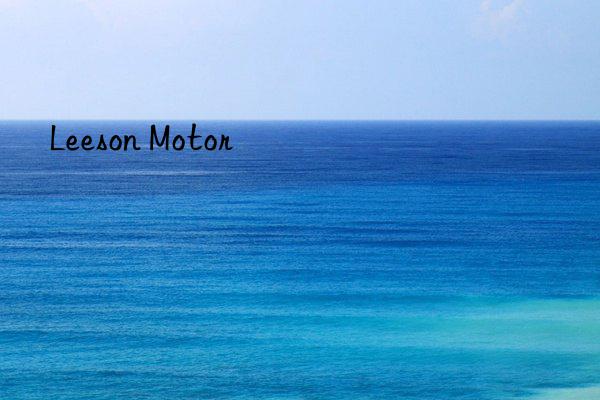 leeson motor