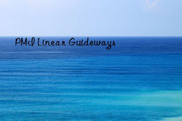 pmi linear guideways