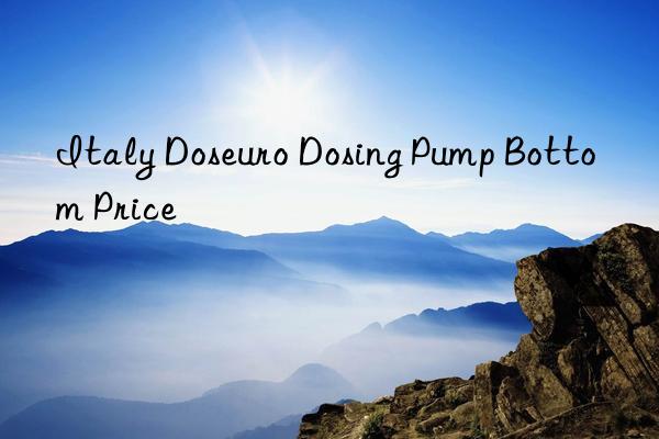 italy doseuro dosing pump bottom price