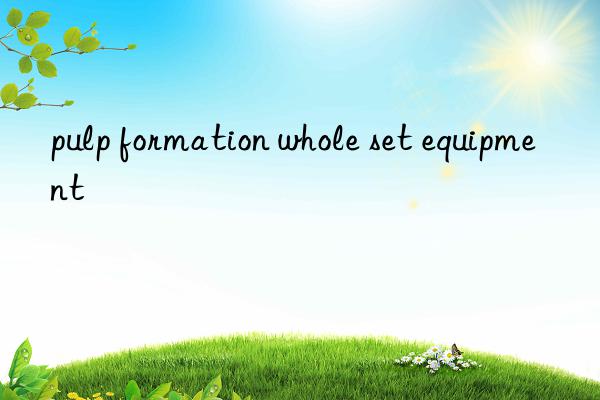 pulp formation whole set equipment