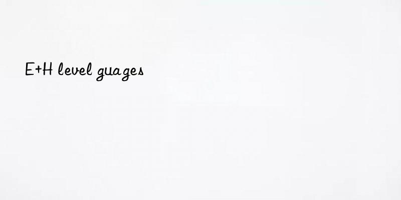e+h level guages