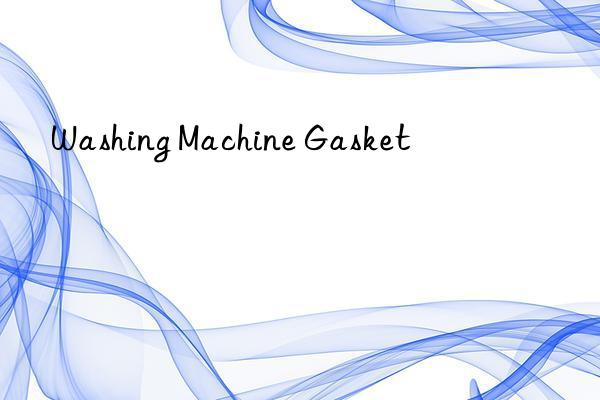washing machine gasket