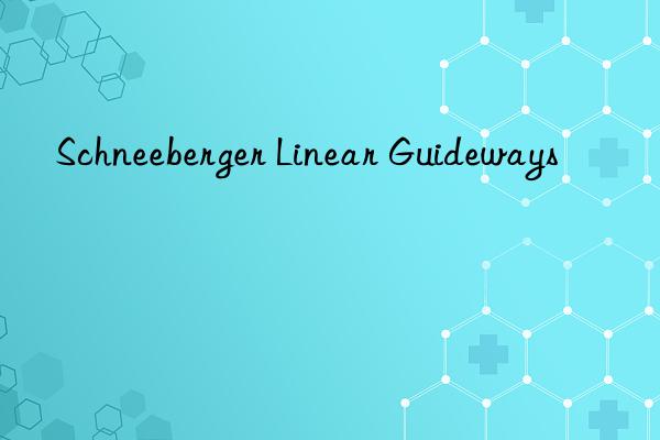 schneeberger linear guideways