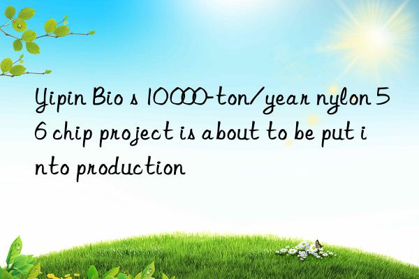 yipin bio s 10 000-ton/year nylon 56 chip project is about to be put into production