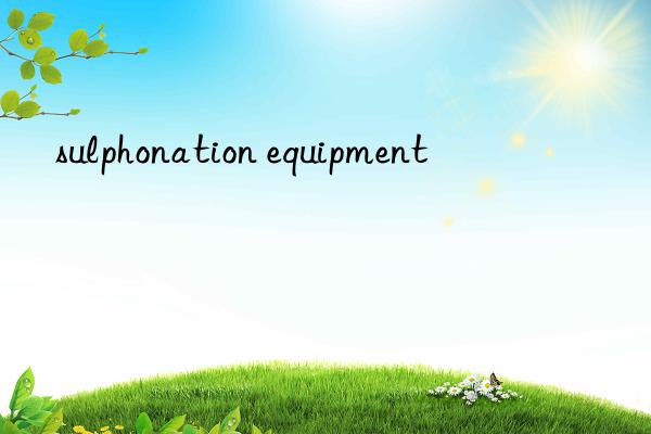 sulphonation equipment