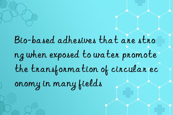 bio-based adhesives that are strong when exposed to water promote the transformation of circular economy in many fields