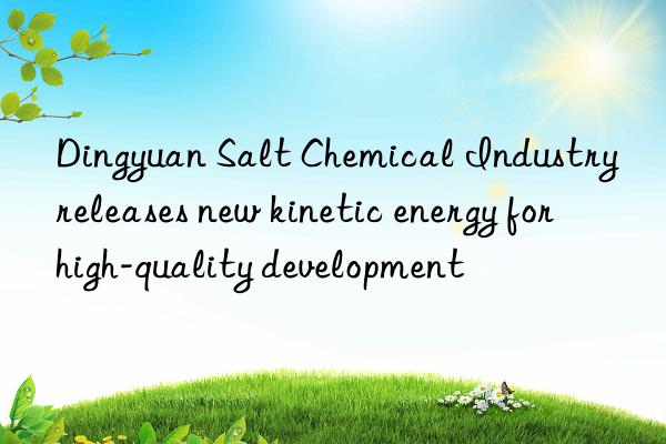 dingyuan salt chemical industry releases new kinetic energy for high-quality development