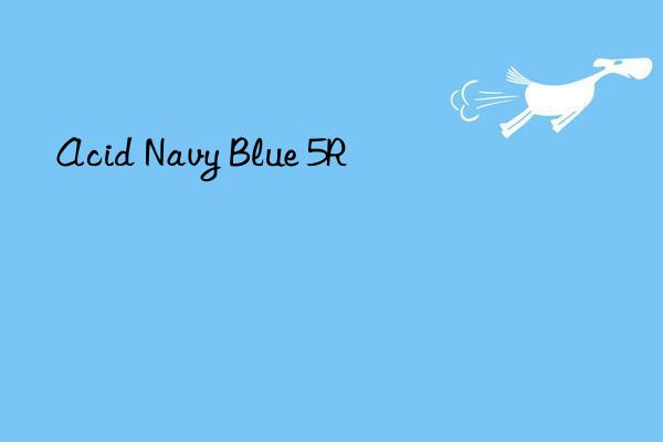 acid navy blue 5r