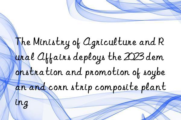 the ministry of agriculture and rural affairs deploys the 2023 demonstration and promotion of soybean and corn strip composite planting