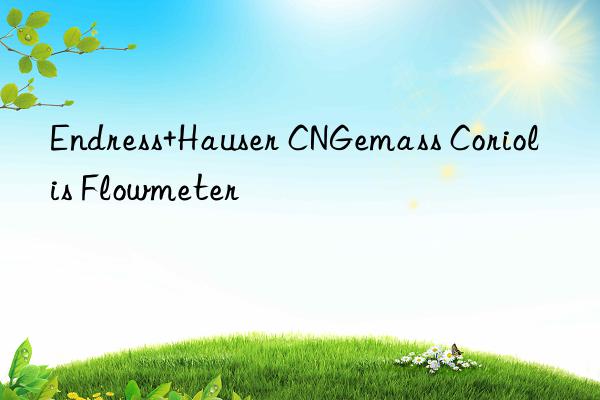 endress+hauser cngemass coriolis flowmeter