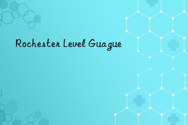 rochester level guague