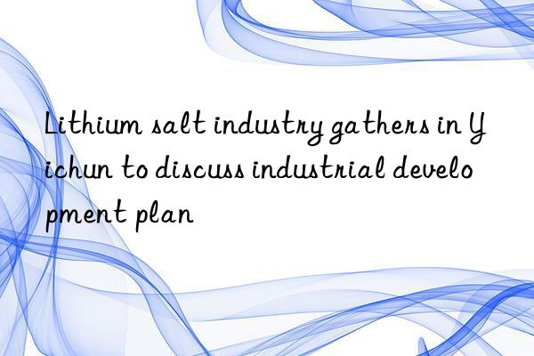 lithium salt industry gathers in yichun to discuss industrial development plan
