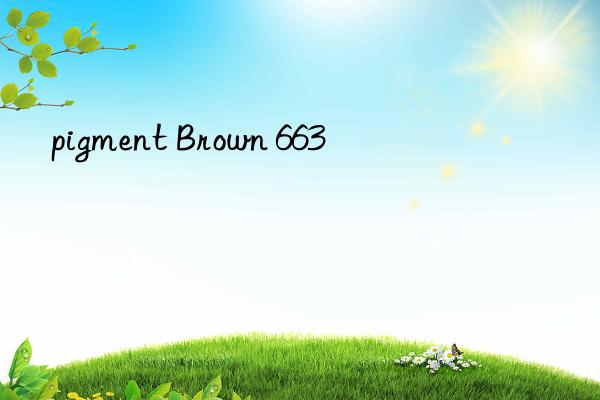 pigment brown 663