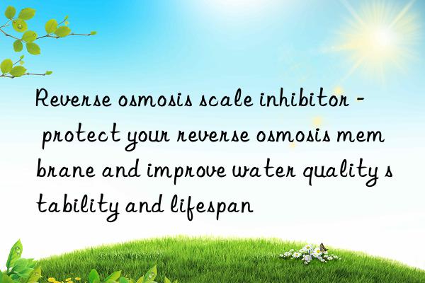 reverse osmosis scale inhibitor - protect your reverse osmosis membrane and improve water quality stability and lifespan