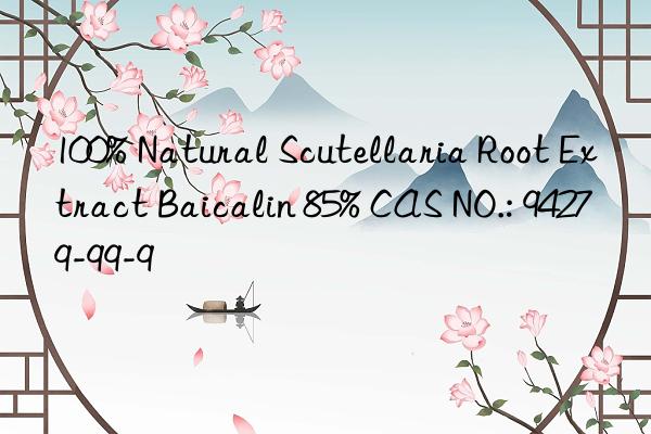 100% natural scutellaria root extract baicalin 85% cas no.: 94279-99-9
