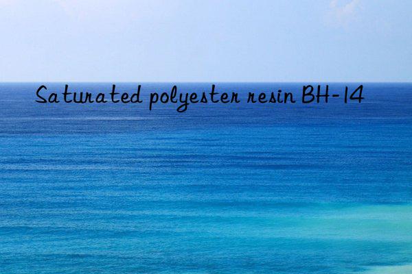 saturated polyester resin bh-14