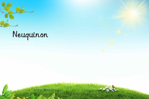 neuquinon