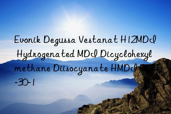  degussa vestanat h12mdi hydrogenated mdi dicyclohexylmethane diisocyanate hmdi 5124-30-1