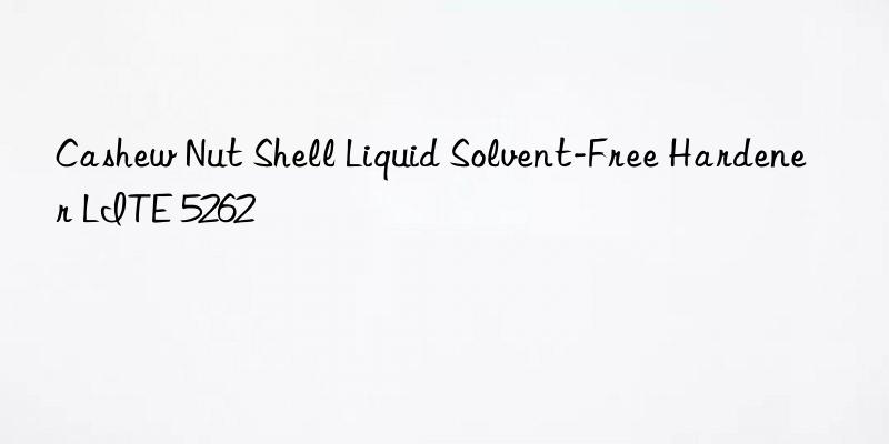cashew nut shell liquid solvent-free hardener lite 5262