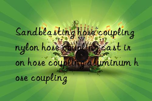sandblasting hose coupling nylon hose coupling cast iron hose coupling aluminum hose coupling