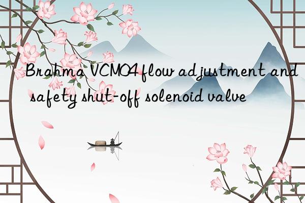 brahma vcm04 flow adjustment and safety shut-off solenoid valve