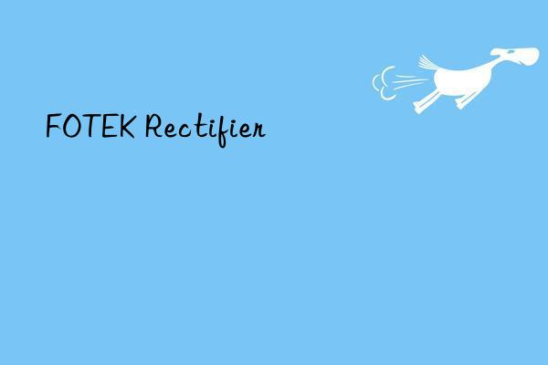 fotek rectifier