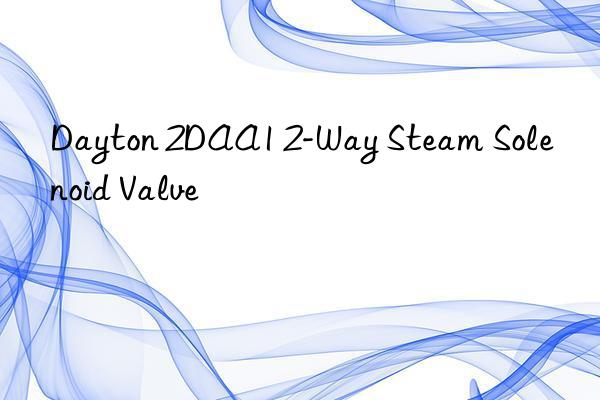dayton 2daa1 2-way steam solenoid valve