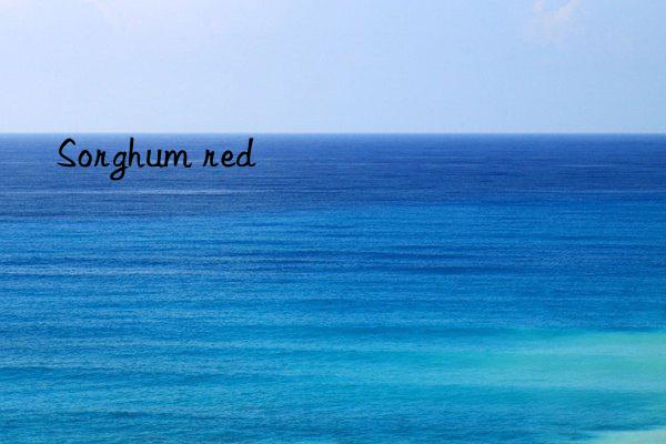 sorghum red