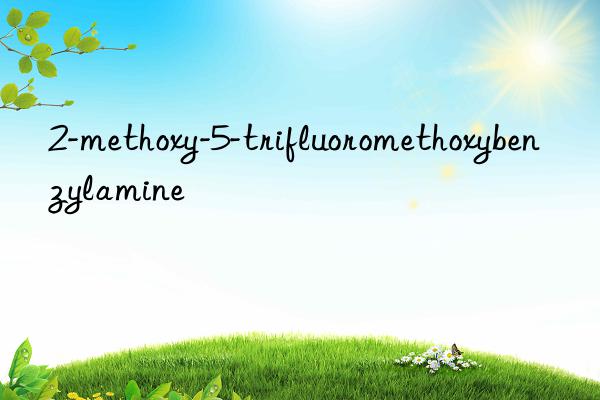 2-methoxy-5-trifluoromethoxybenzylamine