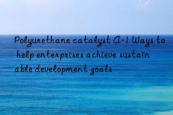 polyurethane catalyst a-1 ways to help enterprises achieve sustainable development goals