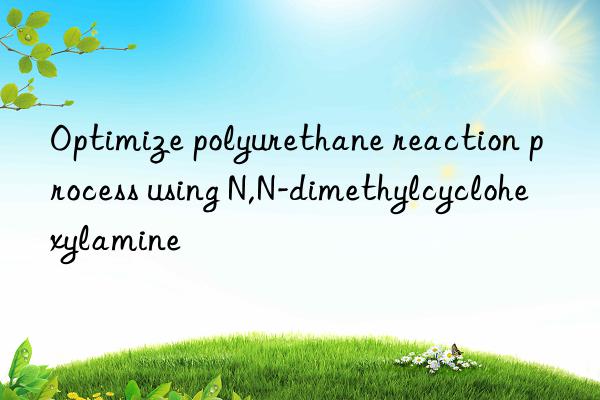optimize polyurethane reaction process using n,n-dimethylcyclohexylamine