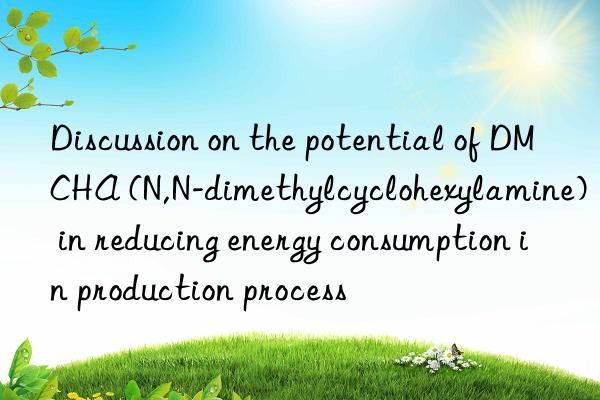 discussion on the potential of dmcha (n,n-dimethylcyclohexylamine) in reducing energy consumption in production process